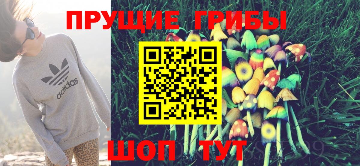 Бахчисарай  Галлюциногенные грибы Magic Shrooms  Вход с VPN 