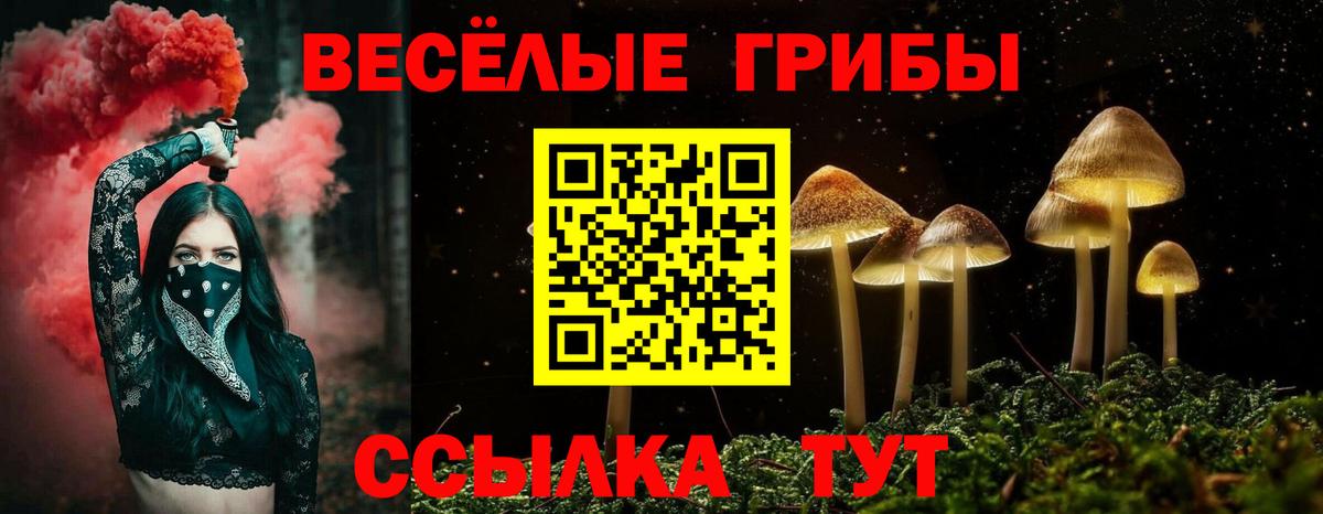 Псилоцибиновые грибы мухоморы Бахчисарай